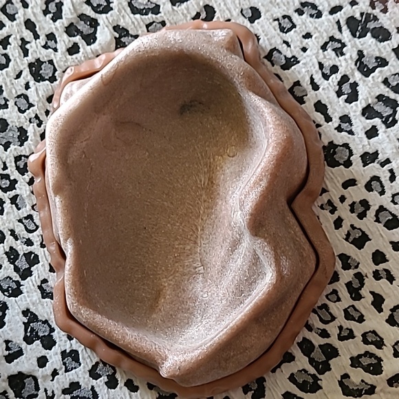 Reptile combo food/water dish. by ZOO MED size Large - Picture 6 of 8